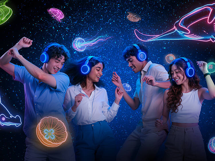 Glow with the flow, then dance at Singapore Oceanarium’s first silent disco Glow with the flow, then dance at Singapore Oceanarium’s first silent disco