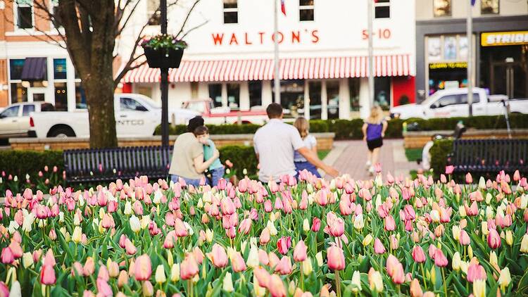 Bentonville, AK Bentonville, AK