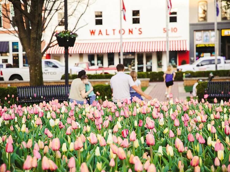 I had zero interest in visiting Arkansas, then Bentonville completely surprised me I had zero interest in visiting Arkansas, then Bentonville completely surprised me