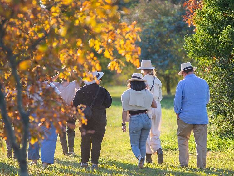 12 escapadas cerca de Buenos Aires para hacer en el día o pasar el fin de semana 12 escapadas cerca de Buenos Aires para hacer en el día o pasar el fin de semana