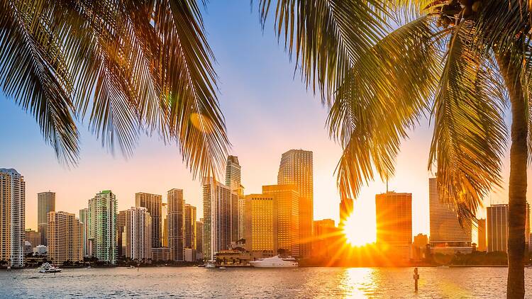 Miami skyline