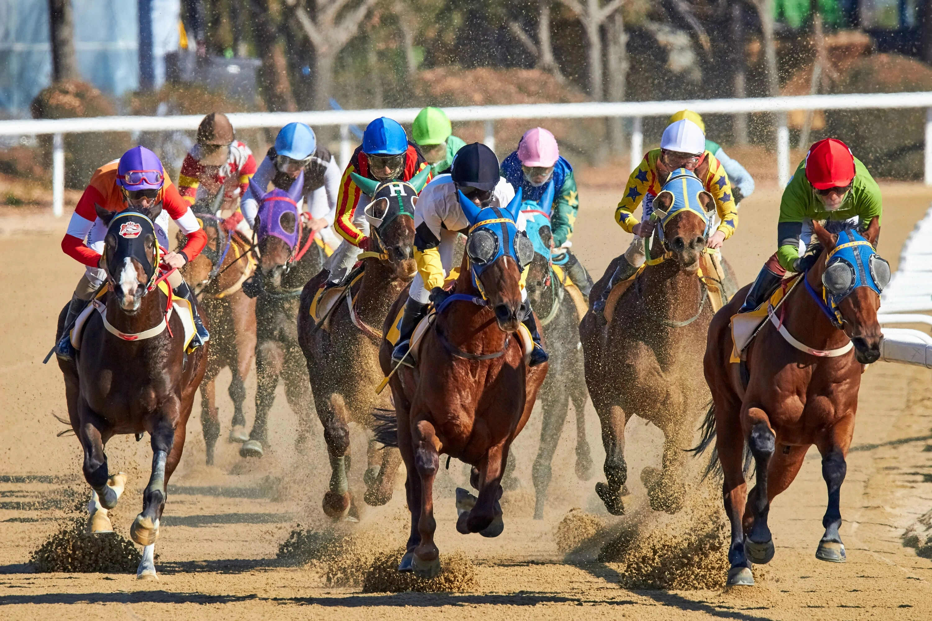 Lucky Fish Friday Night Racing is back Durban!