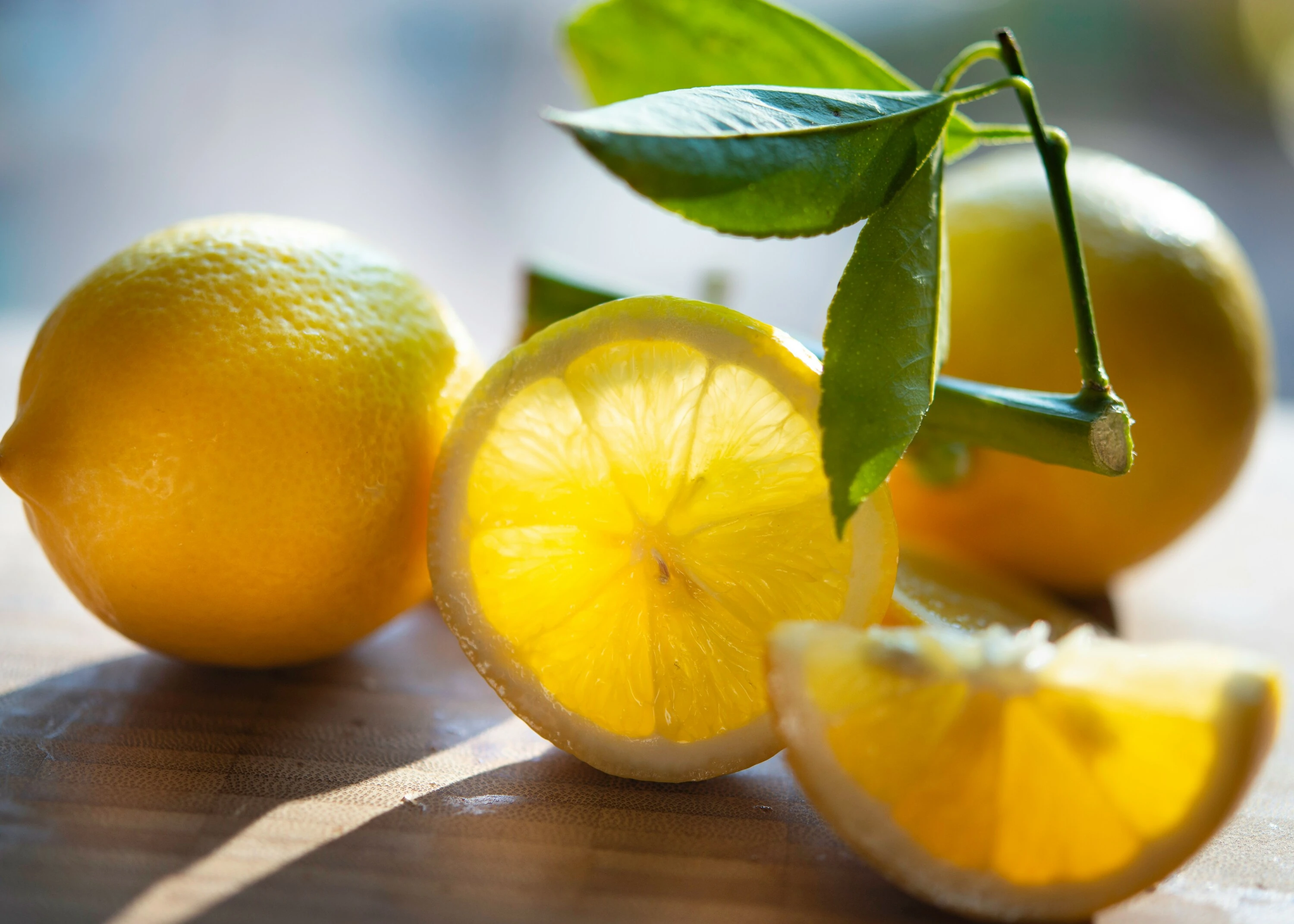 Time to create your own lemon canvas with this artistic class. 