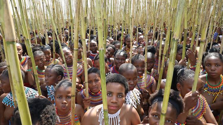 As part of our Heritage Month series, we’re taking a closer look at uMkhosi woMhlanga, the Zulu Reed Dance, and the history and traditions behind this powerful annual celebration.