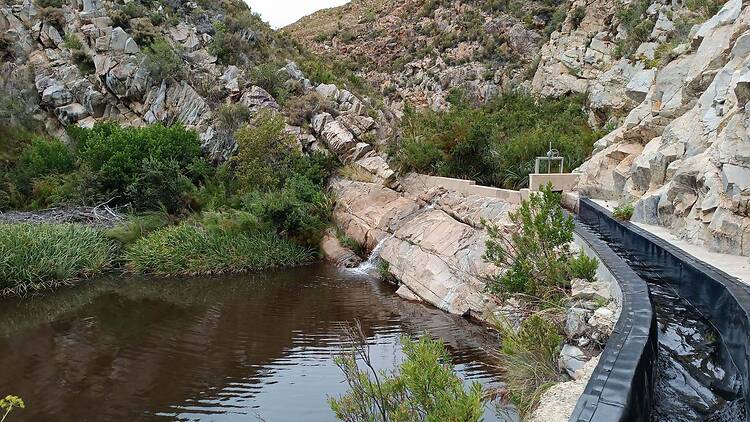 mountain stream Our wetlands, rivers and estuaries are working behind the scenes to keep our ecosystems going.