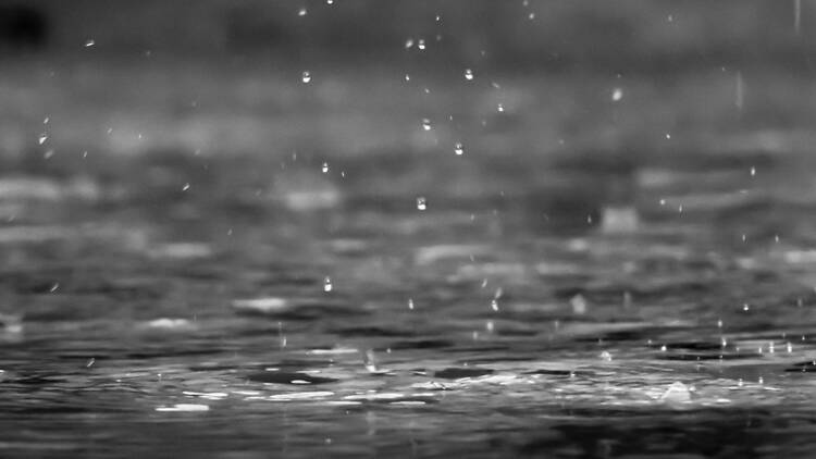 Spring has arrived… but KZN might need its umbrellas this weekend. Spring has arrived… but KZN might need its umbrellas this weekend.