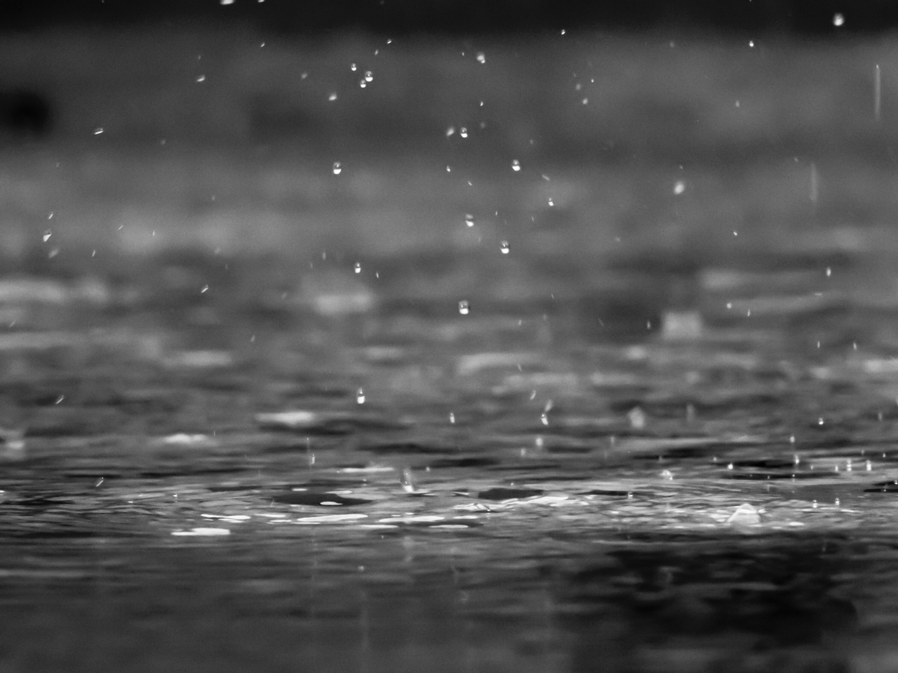 Spring has sprung, but Durban could be in for a wet weekend