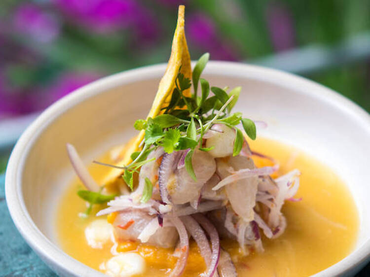 Señor Ceviche Señor Ceviche