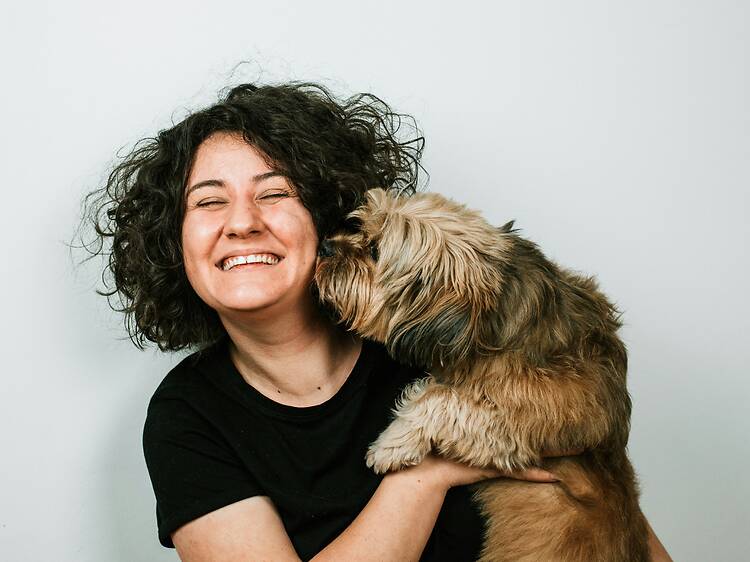 Veterinary Clinic Specializing in Clinical Ethology