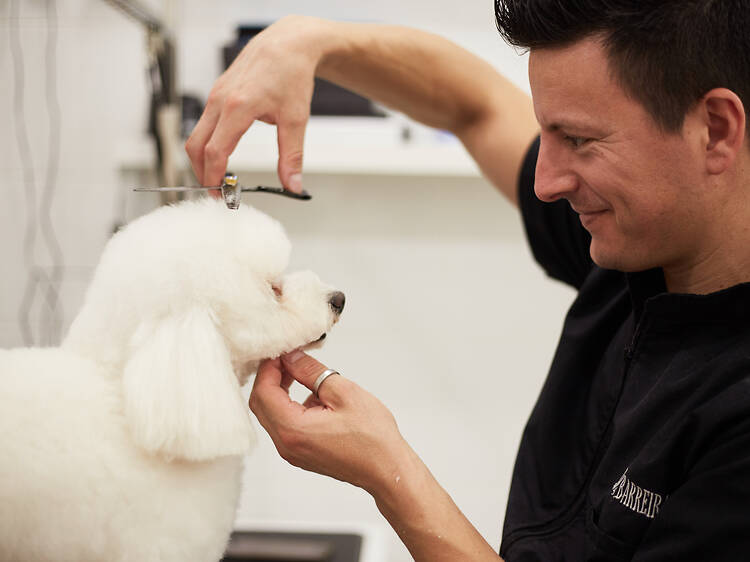 Pet Spa