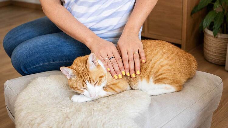 Reiki