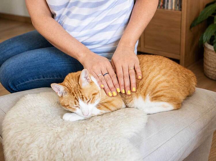 Reiki