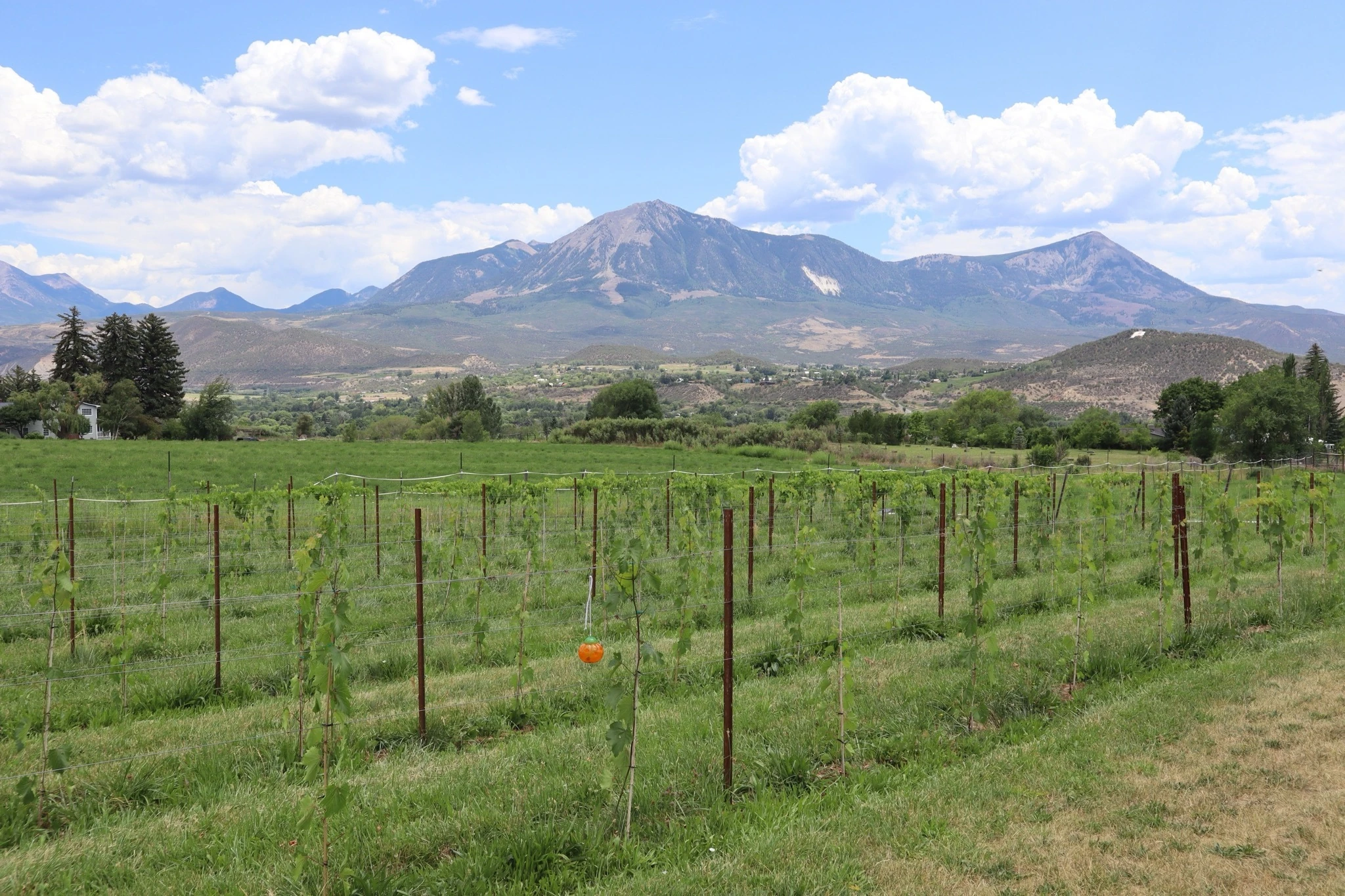 Paonia, Colorado