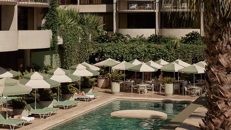 The Calile Hotel Pool at The Calile Hotel