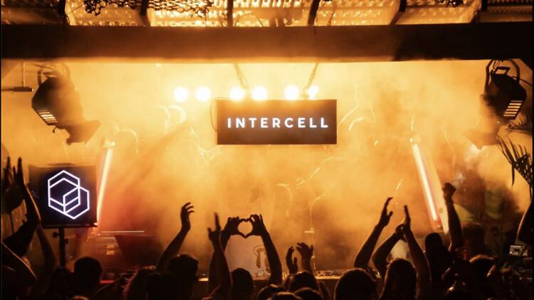 Intercell Intercell