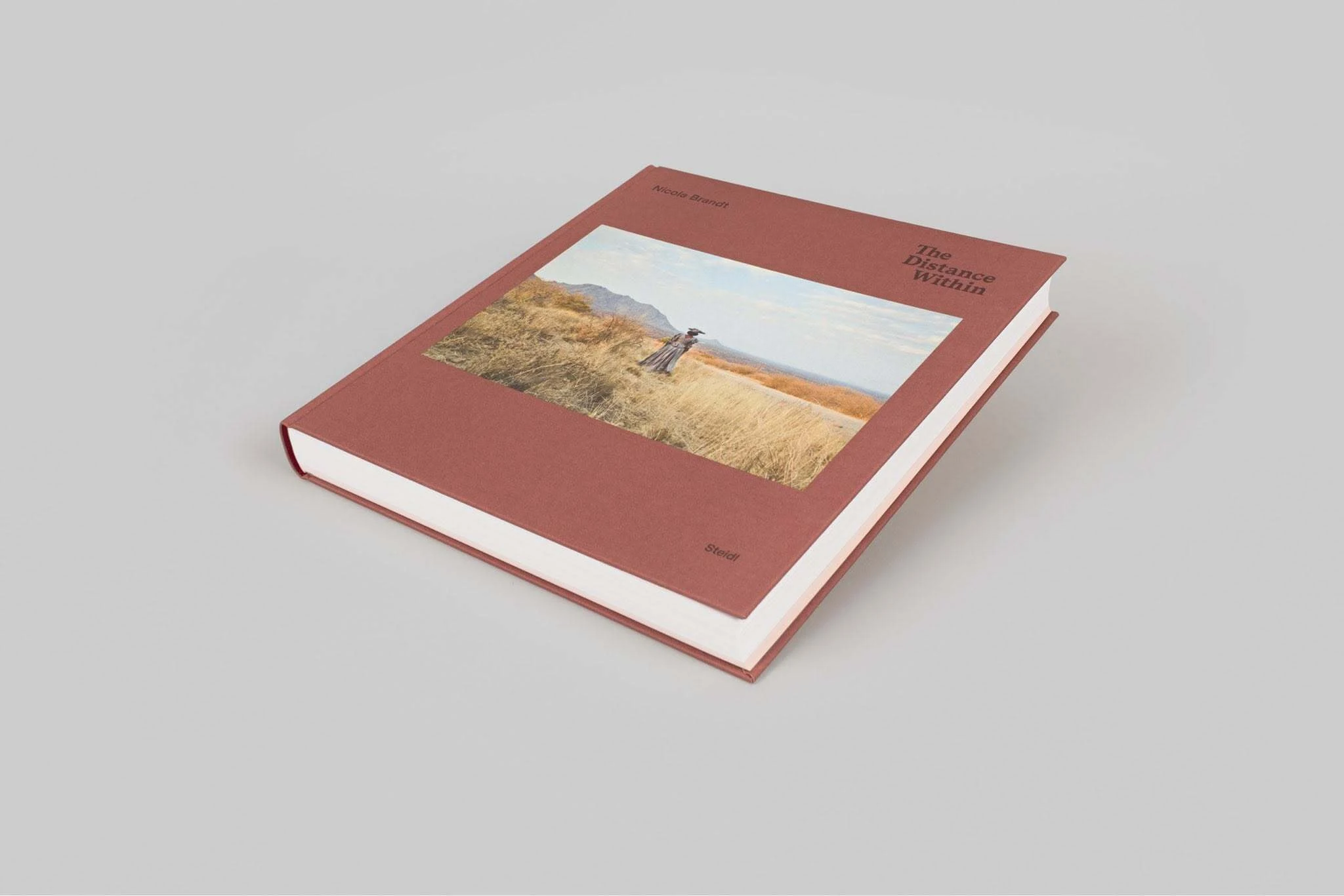&ldquo;The Distance Within&rdquo; is the artist Nicola Brandt's photographic exploration of landscape, memory, and (de)colonial history in Namibia.