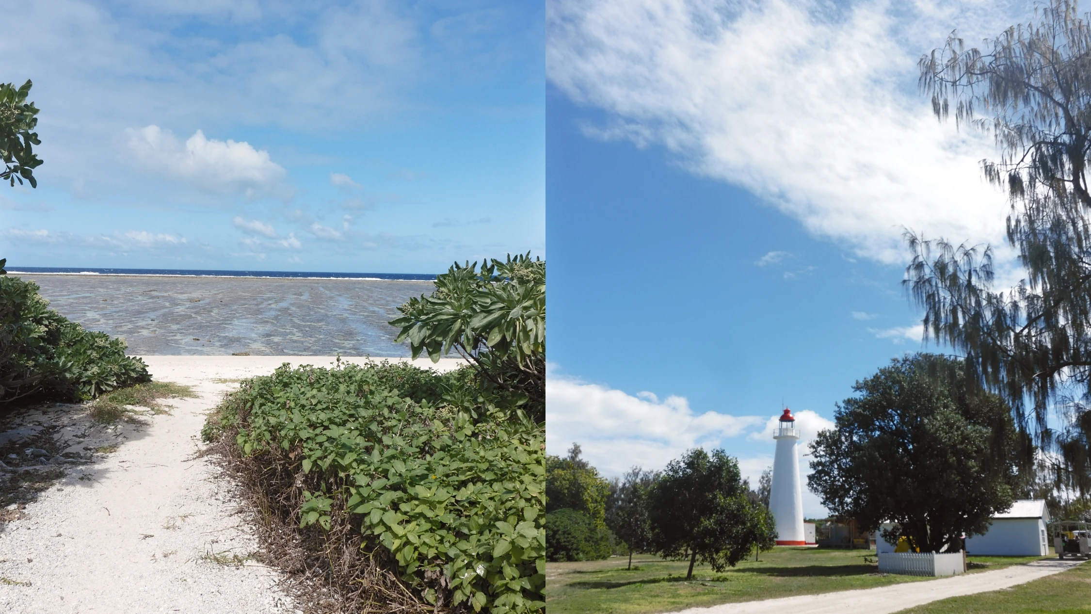 Lady Elliot Island