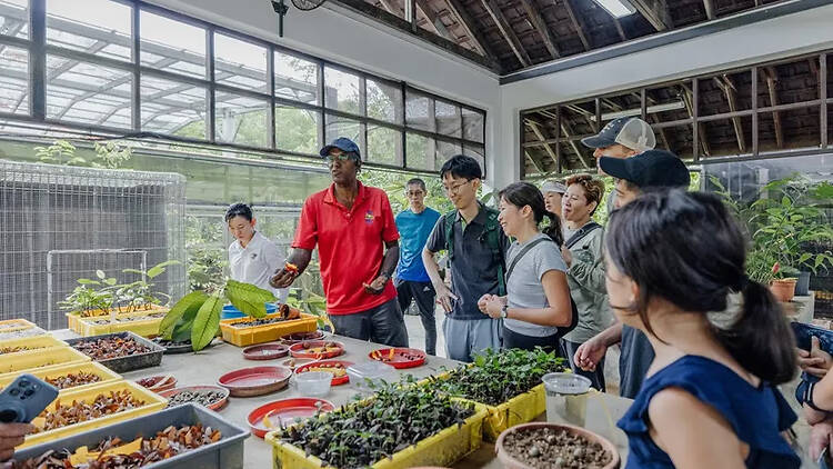 Embark on a heritage trail that turns you into a young prince Embark on a heritage trail that turns you into a young prince