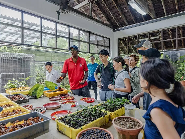 Plant Cultivator Tour Plant Cultivator Tour