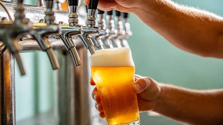 A pint of beer being poured A pint of beer being poured