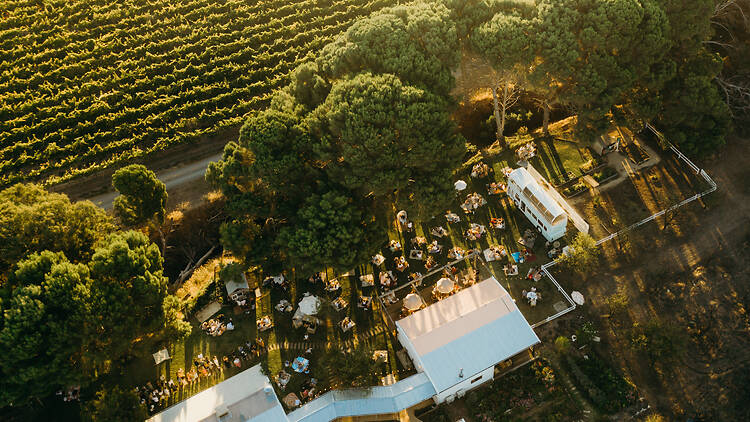 Down the Rabbit Hole Winery aerial