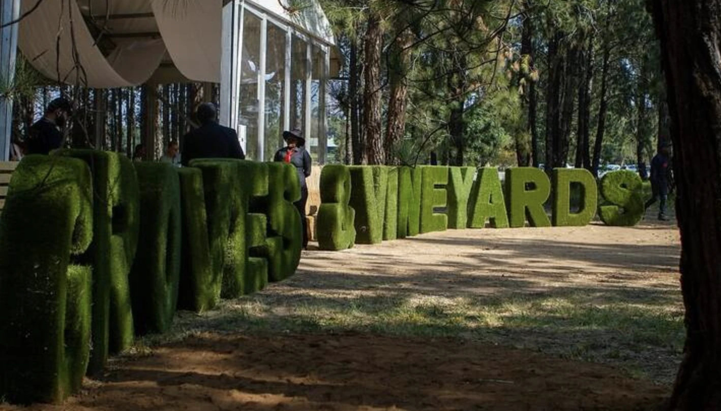 If you fancy a glass of wine, Grooves and Vineyards is where you should be this weekend. 
