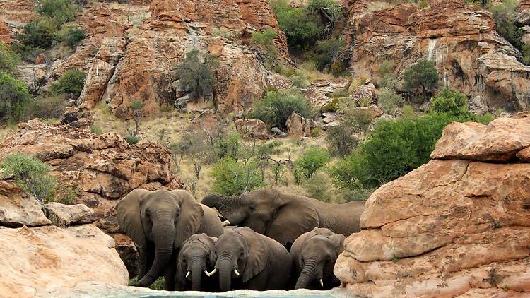 September is Tourism Month and South Africans get free access to participating facilities during National Parks Week.