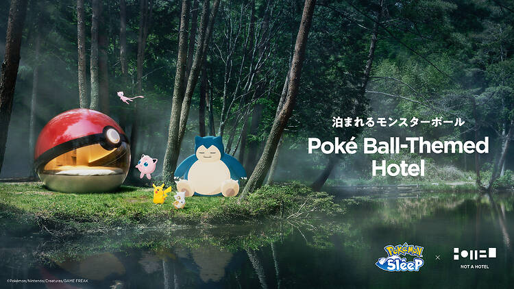 Poké Ball Hotel Poké Ball Hotel