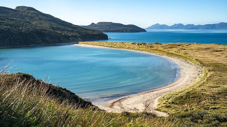 The Gutter, Mason Bay, Rakiura National Park, Stewart Island, New Zealand