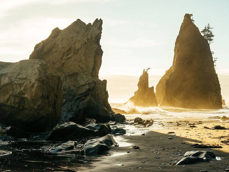 The Washington Coast The Washington Coast