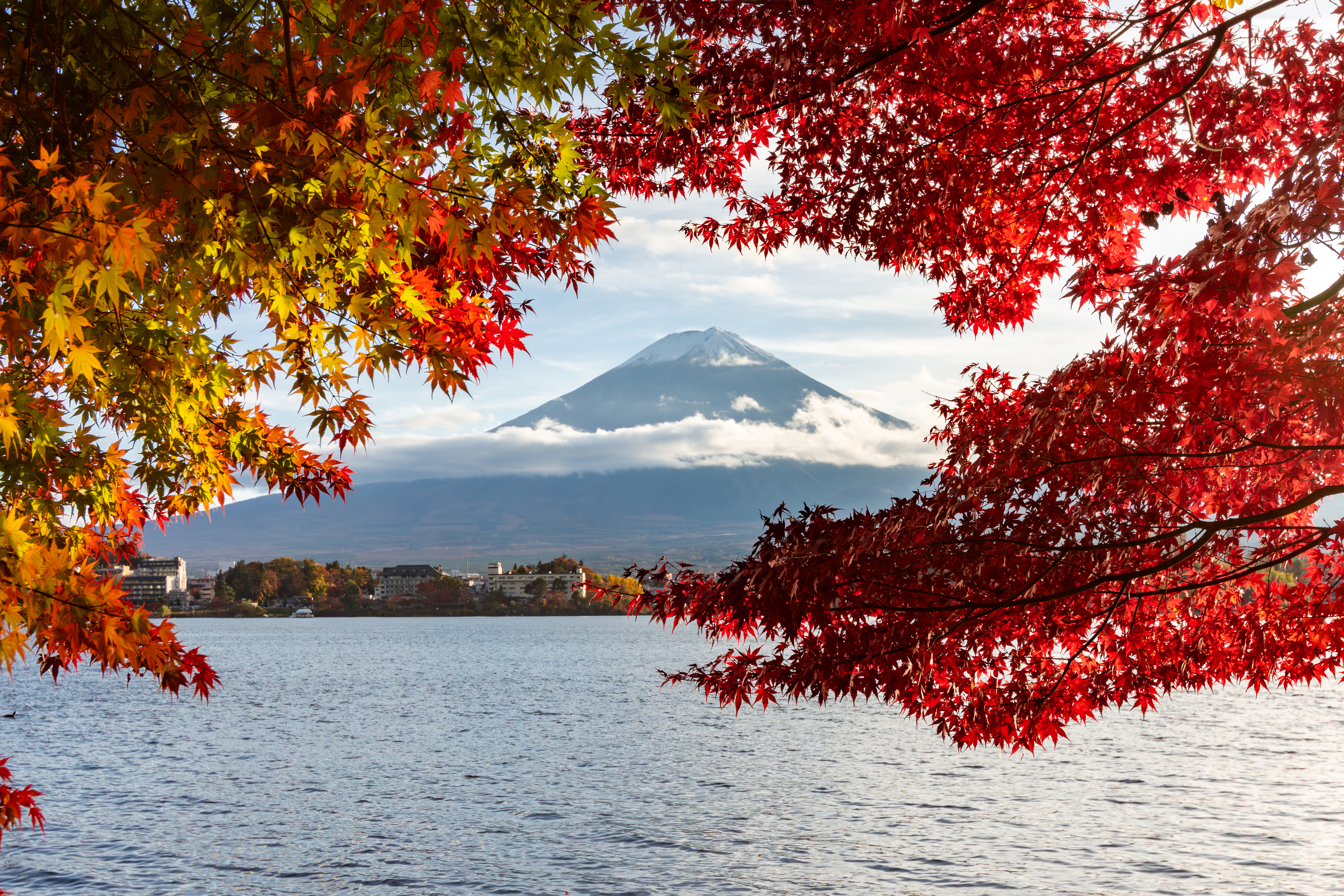Here's the first official 2026 forecast for autumn leaves in Japan