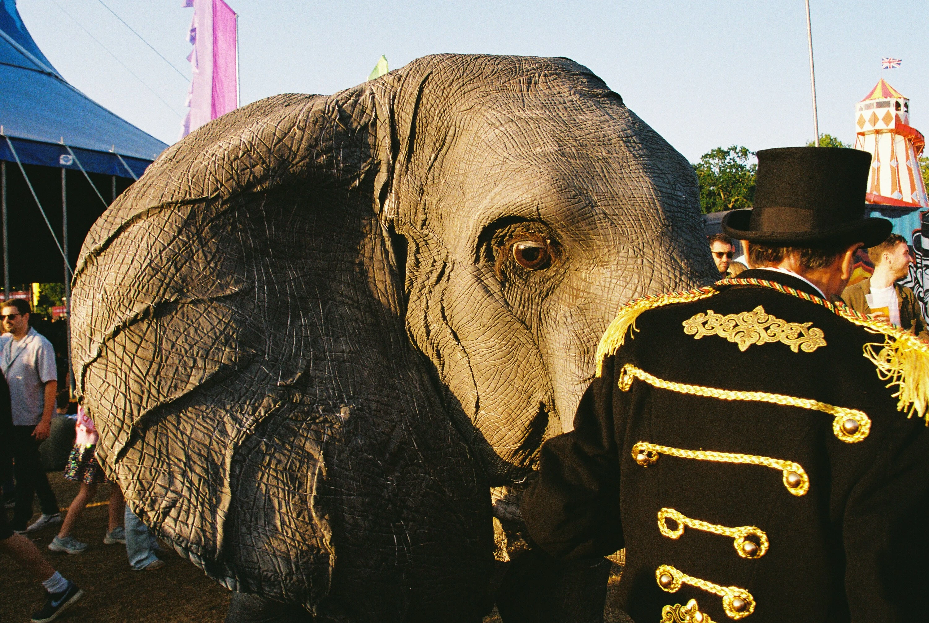 Well, it&rsquo;s about time the City prohibits the use of wild and exotic animals in circuses.