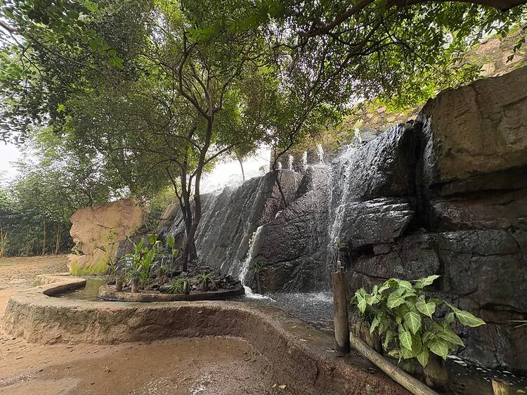 Sanjay Van Sanjay Van