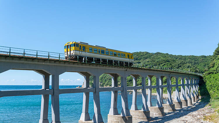 Trains Trains