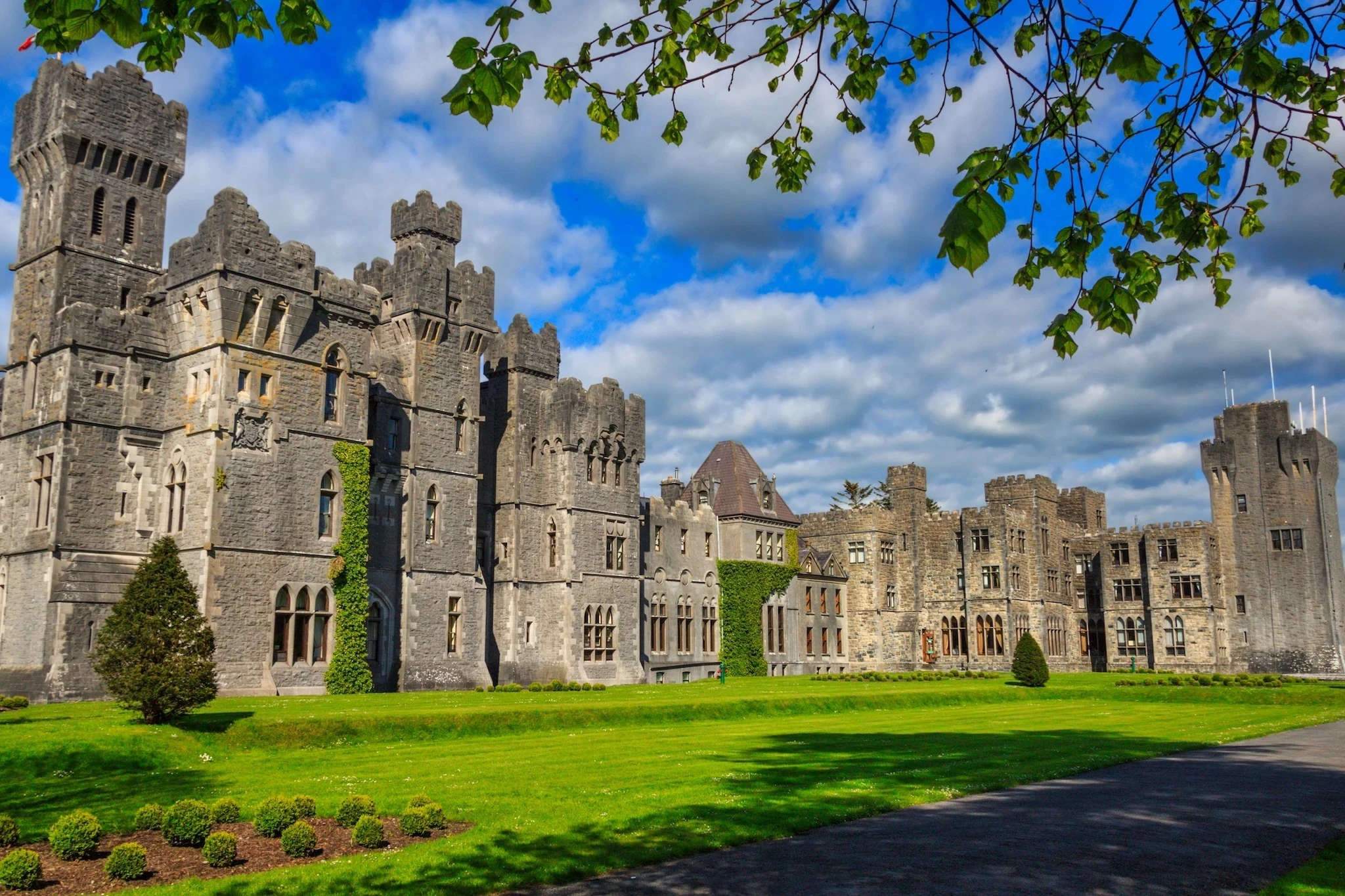 Castell Ashford 