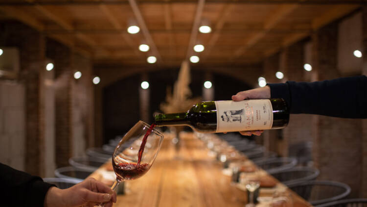 An open tasting for anyone curious about wine