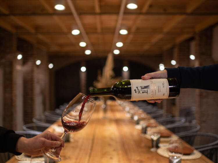 An open tasting for anyone curious about wine