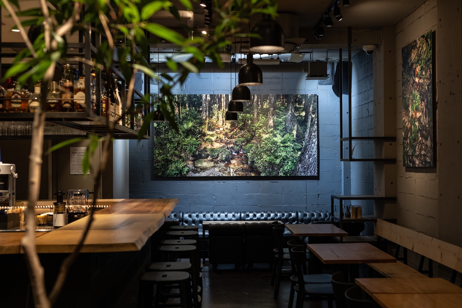 A Mexican pop-up restaurant has landed at Bees Bar by Narisawa