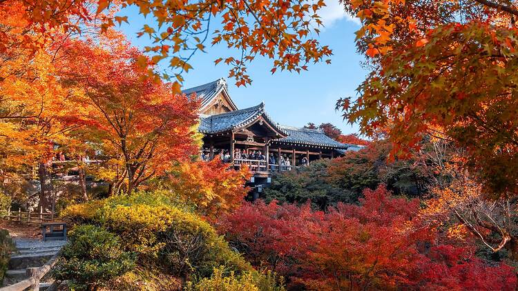 Tofukuji Temple in Kyoto, Japan Tofukuji Temple in Kyoto, Japan