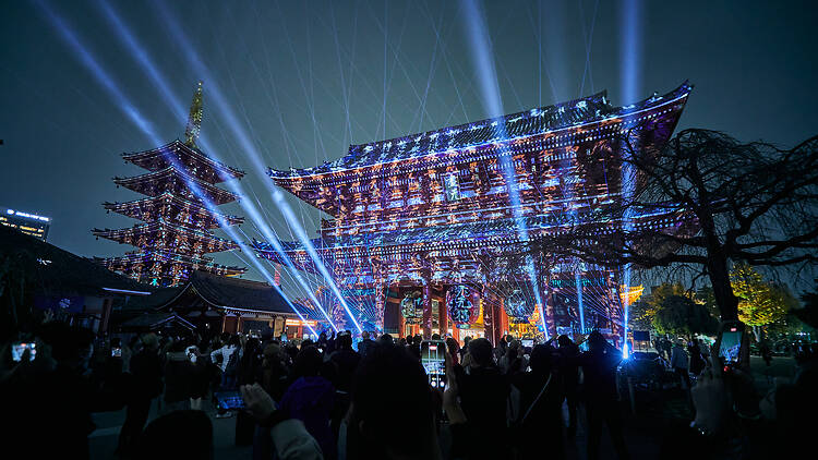 Asakusa Culture & Lights Asakusa Culture & Lights