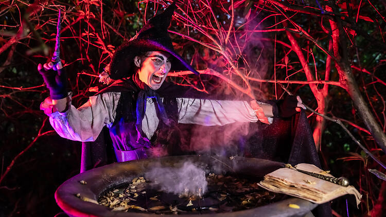 Spook yourself silly via Halloween at Kew