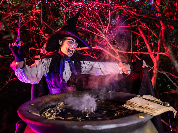 Spook yourself silly via Halloween at Kew