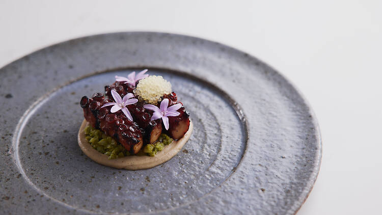 Octopus dish