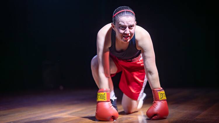 Bitch Boxer Bitch Boxer