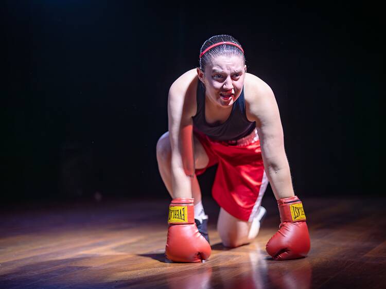 Bitch Boxer Bitch Boxer