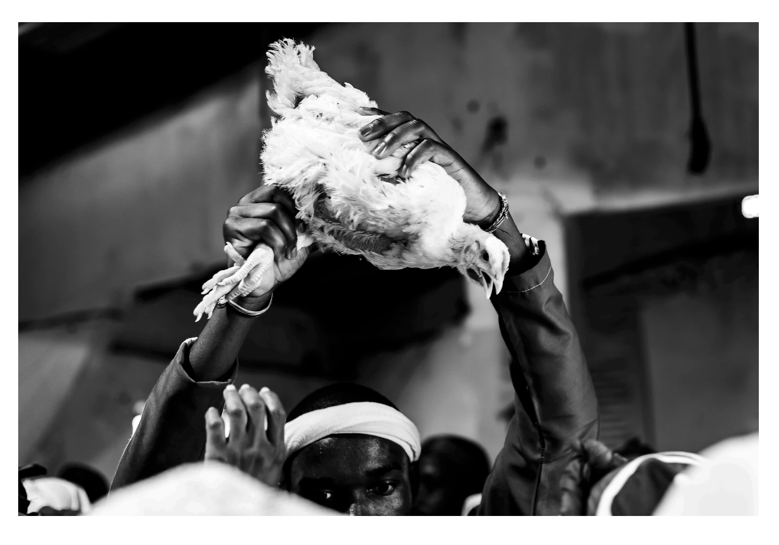 Zulu draws on ancestral heritage and lived experience to create visual narratives.