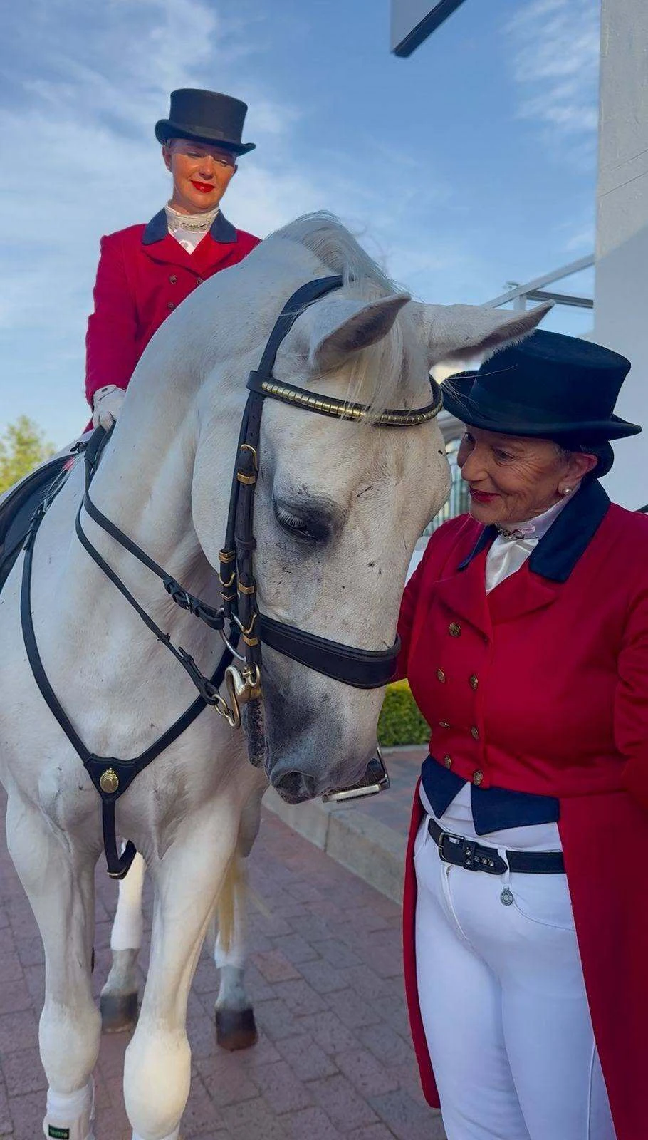 While the Lipizzaner breed has its roots in Europe, the South African story is particularly fascinating.
