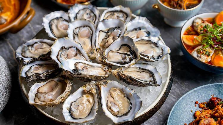 Cruise Restaurant & Bar Oyster Celebration Cruise Restaurant & Bar Oyster Celebration