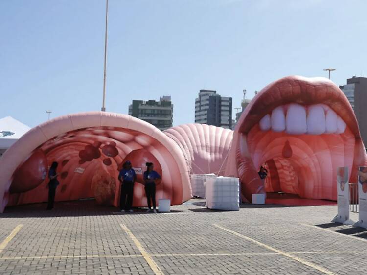 Diga “aaaaaaaaaah”. Há uma nova exposição que lhe mostra o aparelho digestivo por dentro Diga “aaaaaaaaaah”. Há uma nova exposição que lhe mostra o aparelho digestivo por dentro