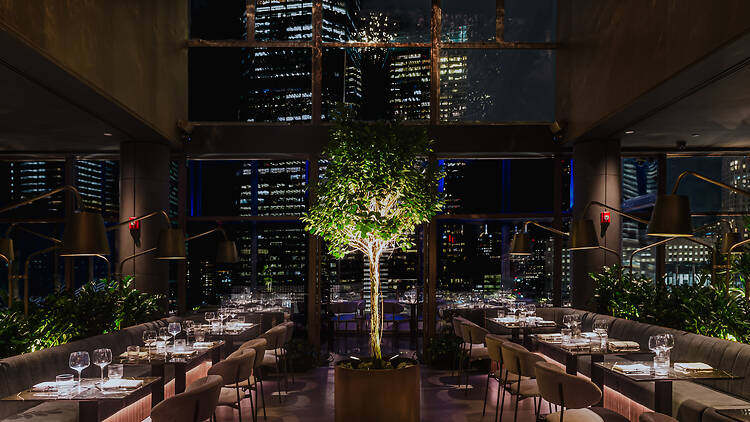 Inside of One40 Rooftop Restaurant with an illuminated tree at its center